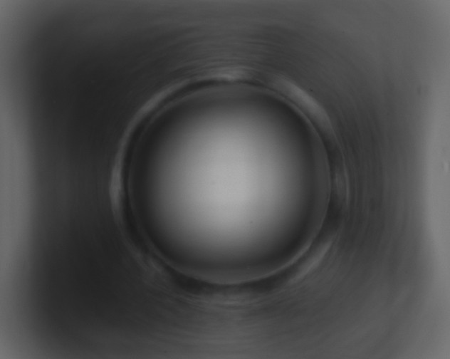 X0000101410532200807071257