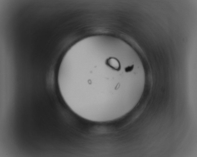 X0000101410534200807071257