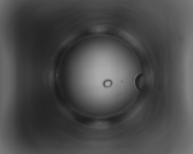 X0000101410543200807071257
