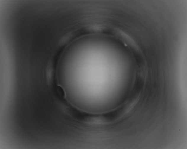 X0000101410548200807071257