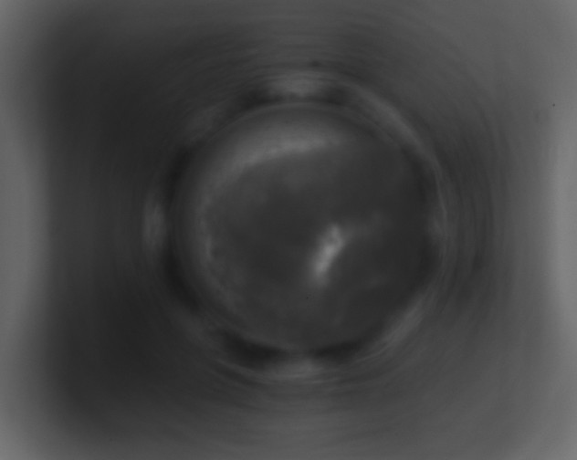 X0000101410551200807071257