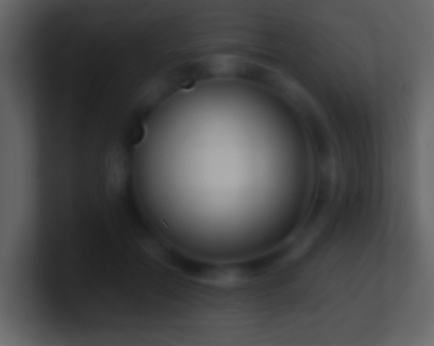 X0000101410554200807071257
