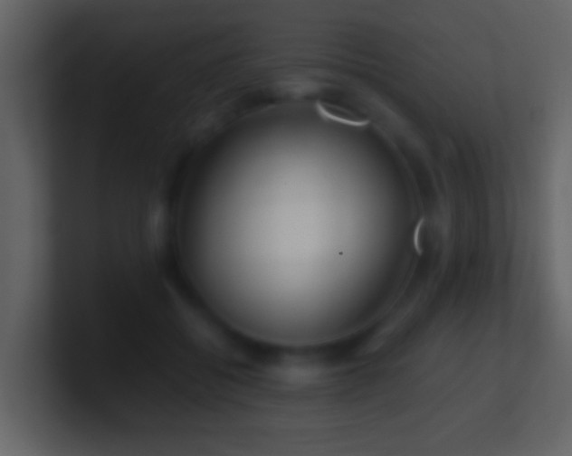 X0000101410556200807071257