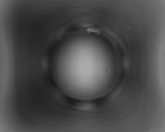 X0000101410559200807071257