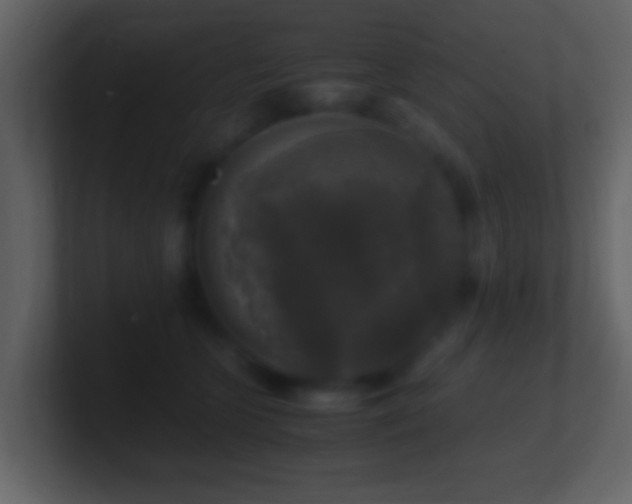 X0000101410563200807071257