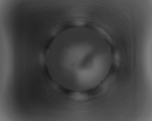 X0000101410568200807071257