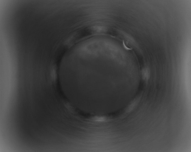 X0000101410570200807071257
