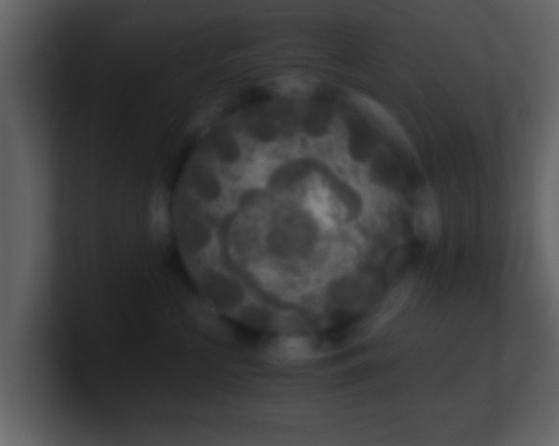X0000101410573200807071257