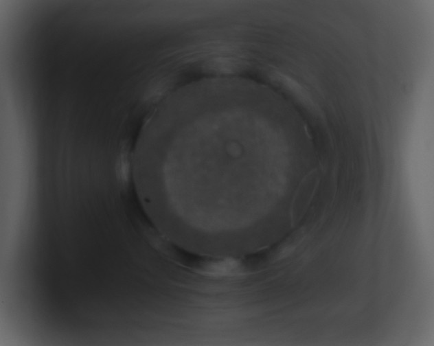 X0000101410576200807071257
