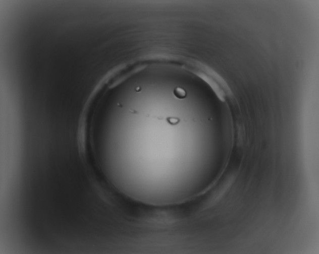 X0000101410580200807071257