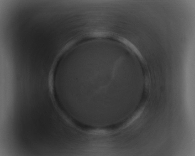 X0000101410581200807071257
