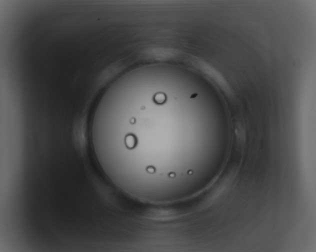 X0000101410582200807071257