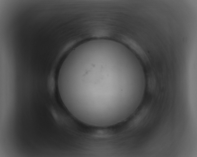X0000101410584200807071257