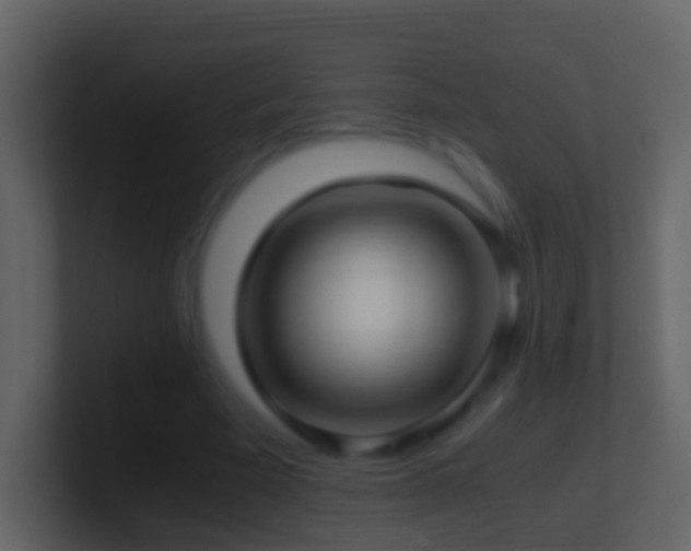 X0000101410585200807071257