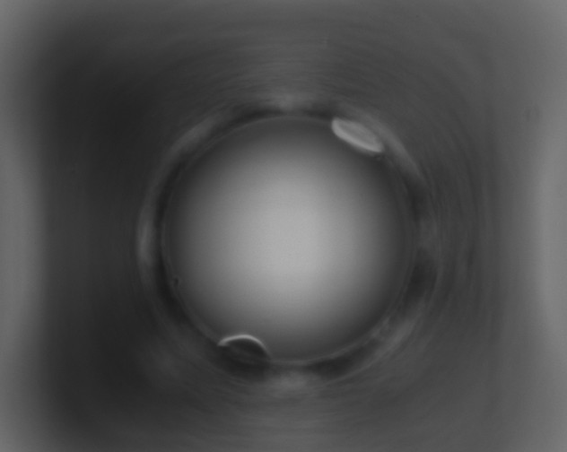 X0000101410587200807071257