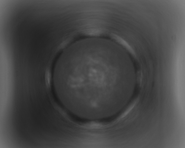X0000101410589200807071257