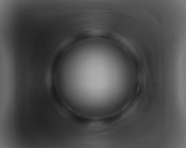X0000101410591200807071256