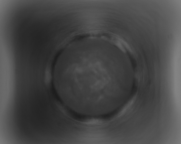 X0000101410593200807071256