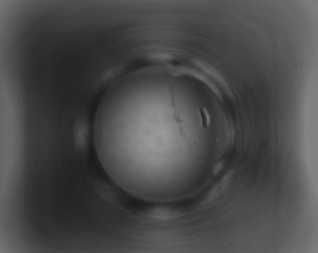 X0000101410596200807071256