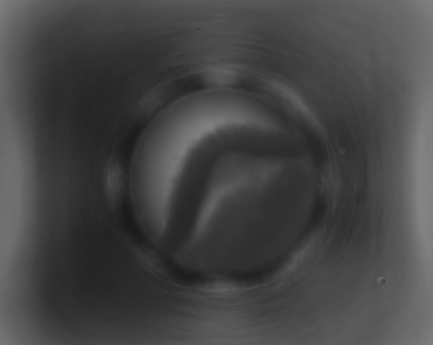 X0000101410598200807071256