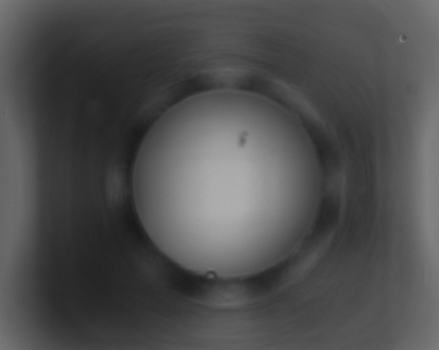 X0000101410599200807071256
