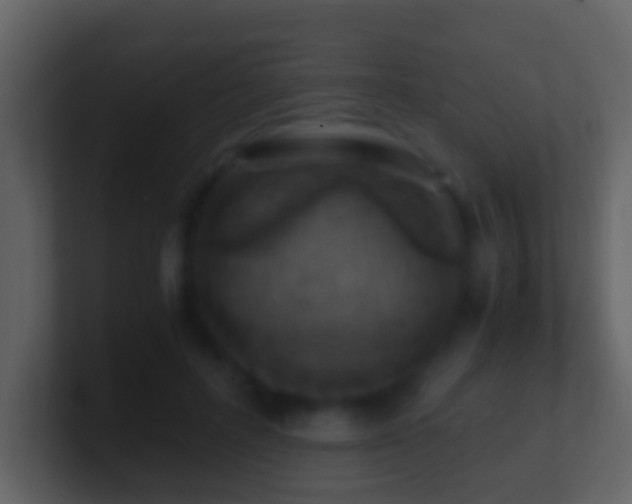 X0000101410600200807071256