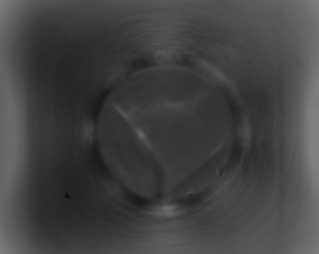 X0000101410610200807071256