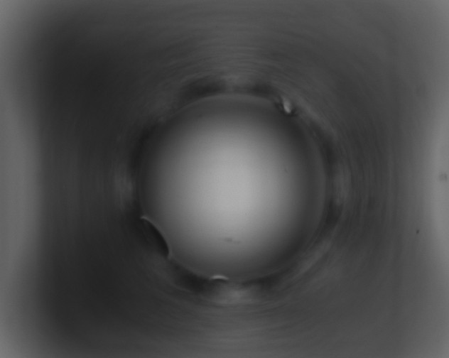 X0000101410613200807071256