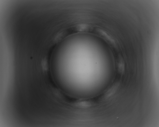 X0000101410620200807071256