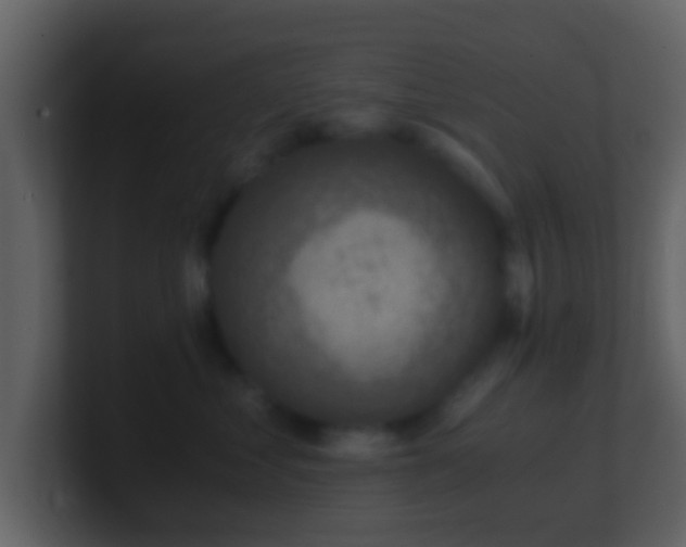 X0000101410621200807071256