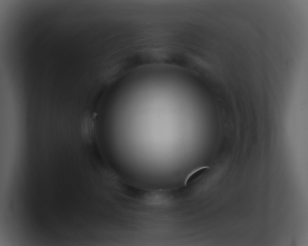 X0000101410624200807071256
