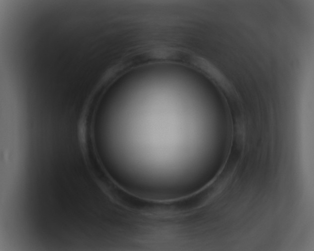 X0000101410626200807071255