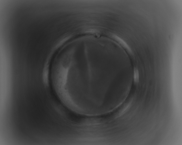 X0000101410627200807071255