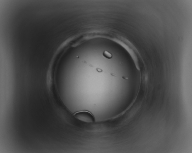 X0000101410628200807071255