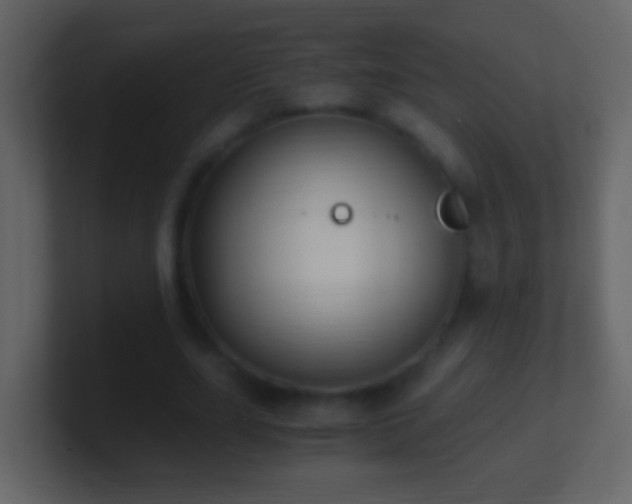 X0000101410631200807071255