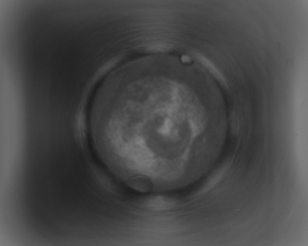 X0000101410634200807071256