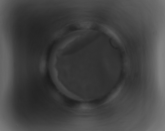 X0000101410641200807071256