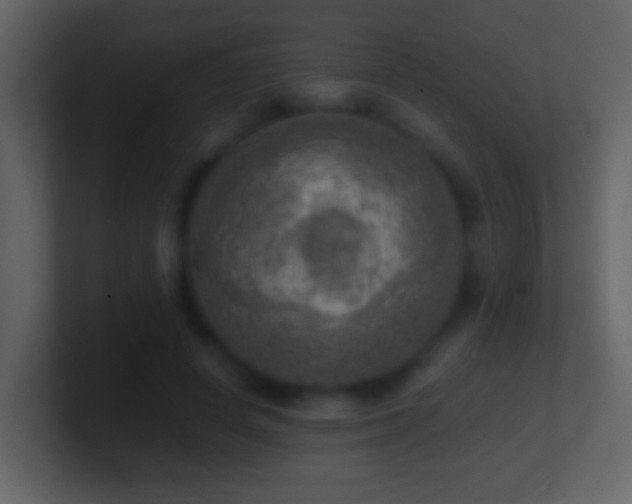 X0000101410642200807071256