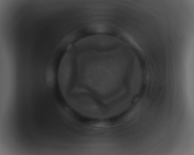 X0000101410643200807071256