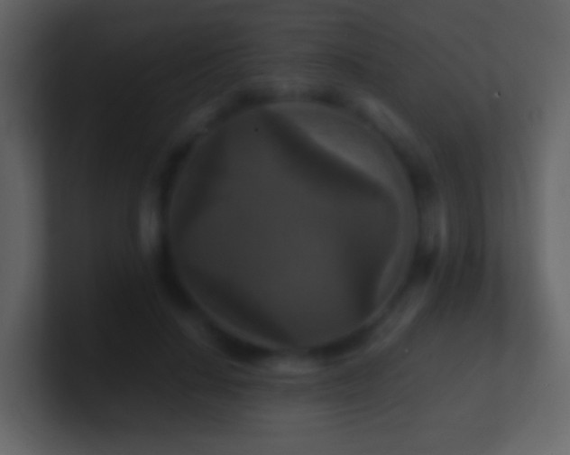 X0000101410644200807071256