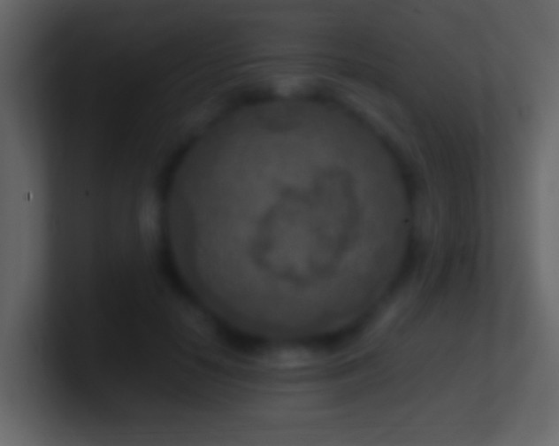 X0000101410650200807071256