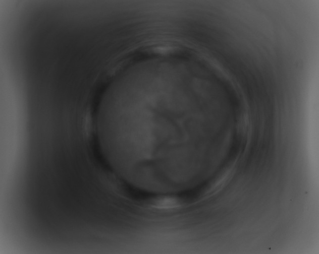 X0000101410651200807071256