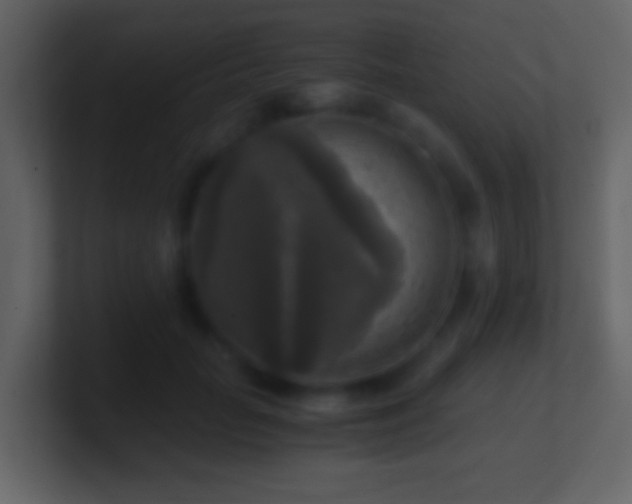 X0000101410653200807071256