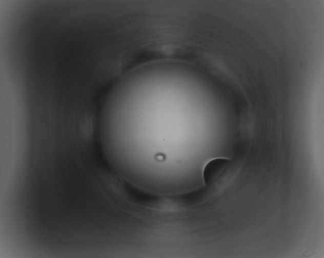 X0000101410656200807071256