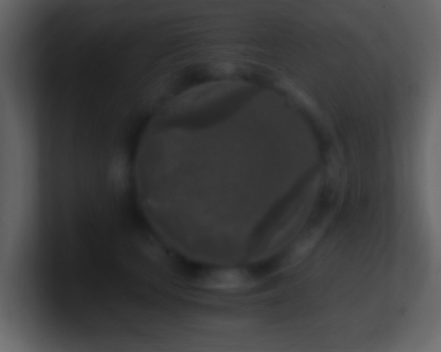 X0000101410659200807071256