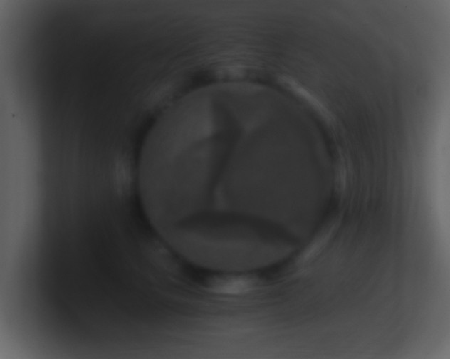 X0000101410661200807071256