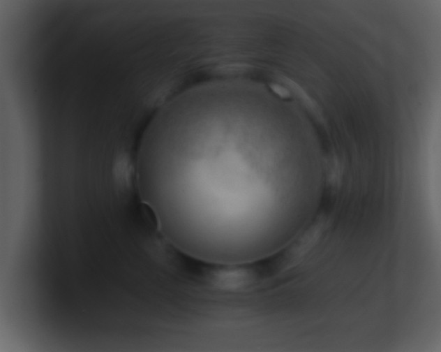 X0000101410669200807071256