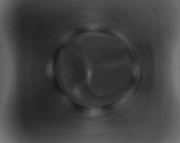 X0000101410670200807071256