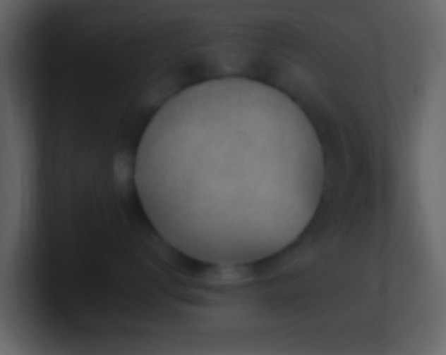 X0000101410672200807071256