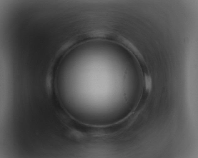 X0000101410675200807071255